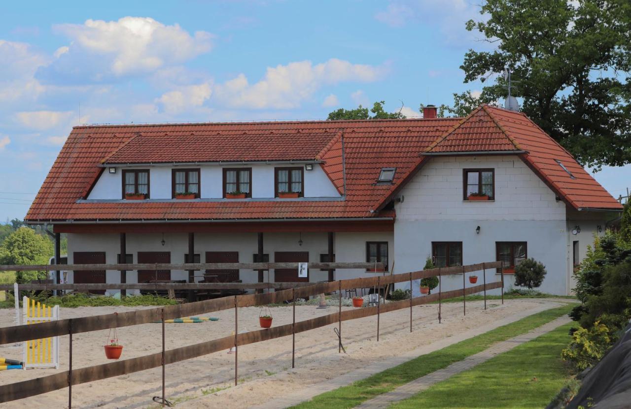 Ubytovani Pod Haniperkem Hotel Vodnany Exterior photo